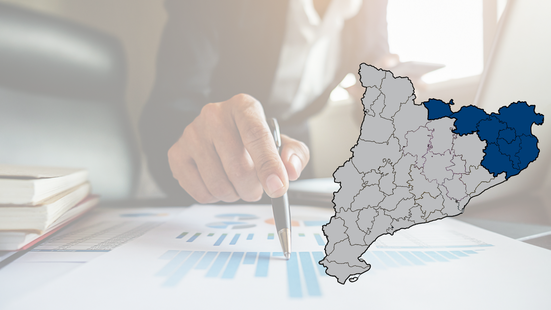 Lot 19. Revisió de comptes justificatius de subvencions Llei general subvencions – Girona