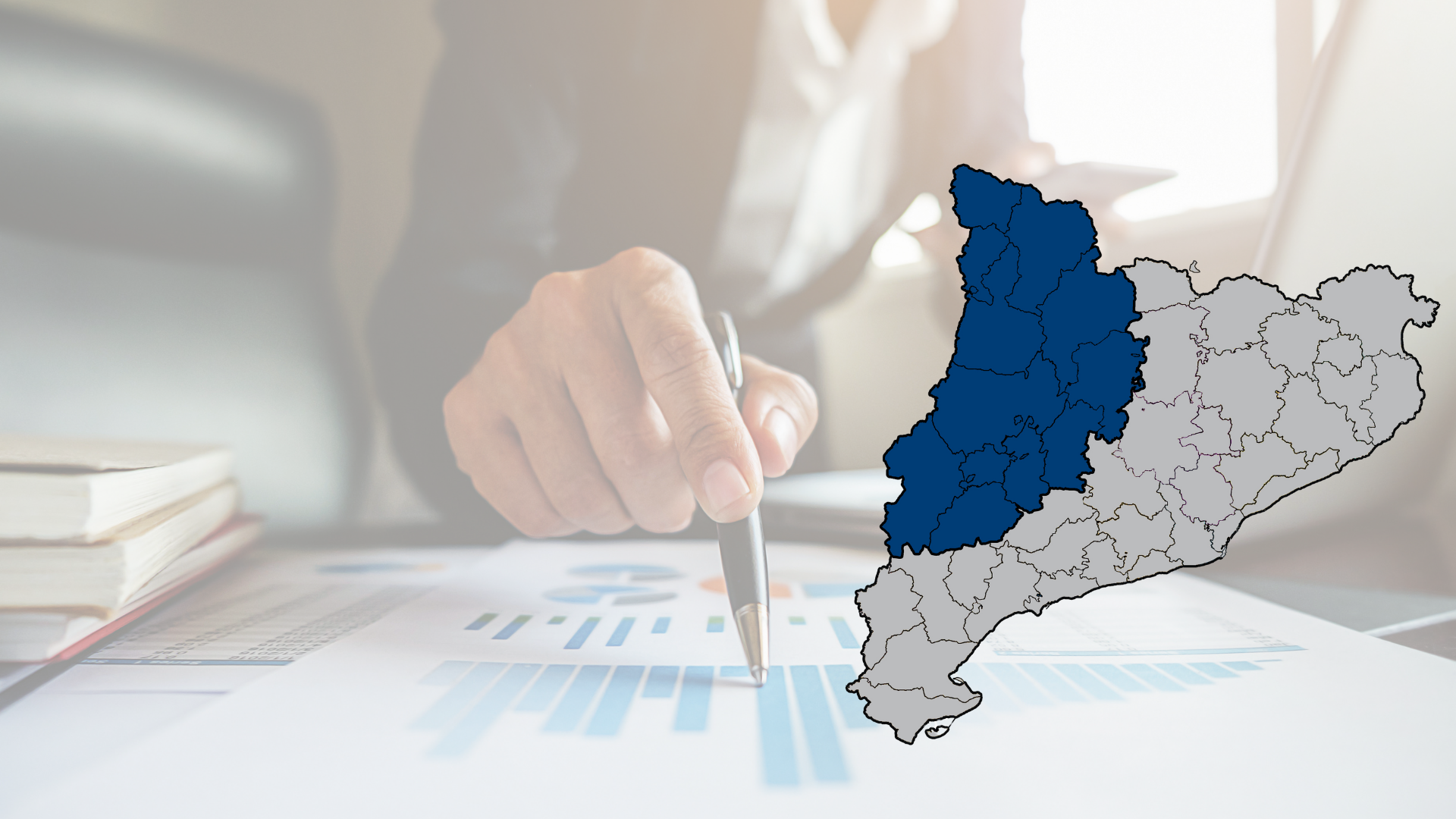 Lot 20. Revisió de comptes justificatius de subvencions Llei general subvencions – Lleida