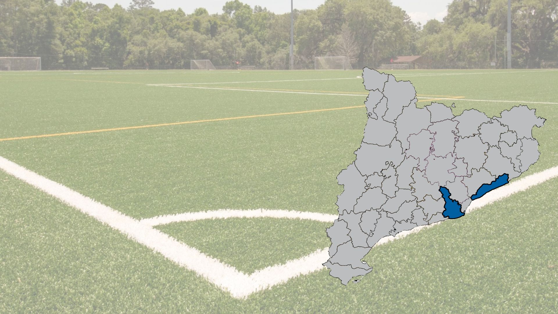 Lot 26. Manteniment de paviment de gespa artificial. Barcelonès i Maresme