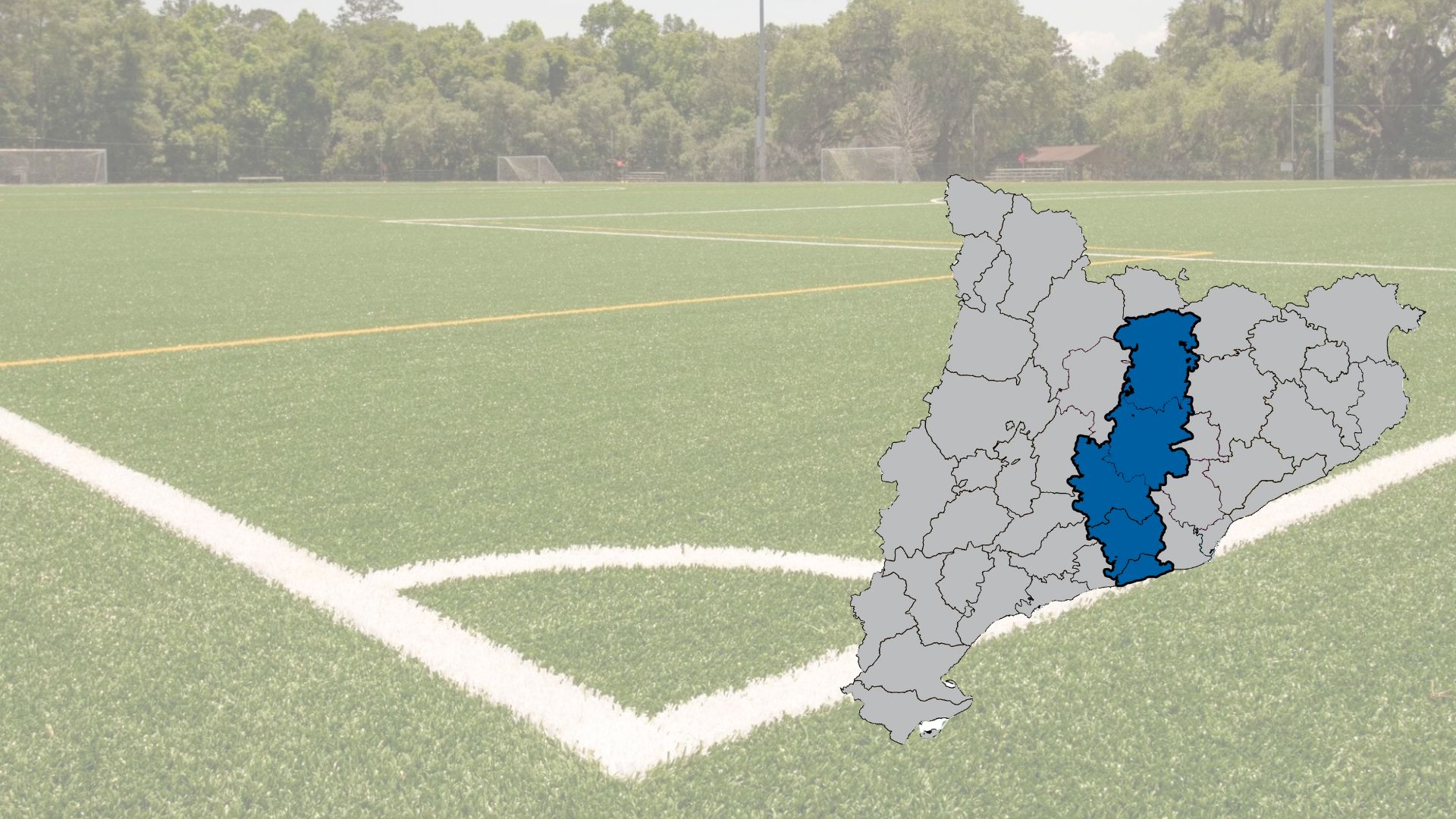 Lot 28. Manteniment de paviment de gespa artificial. Alt Penedès, Anoia, Bages, Berguedà i Garraf