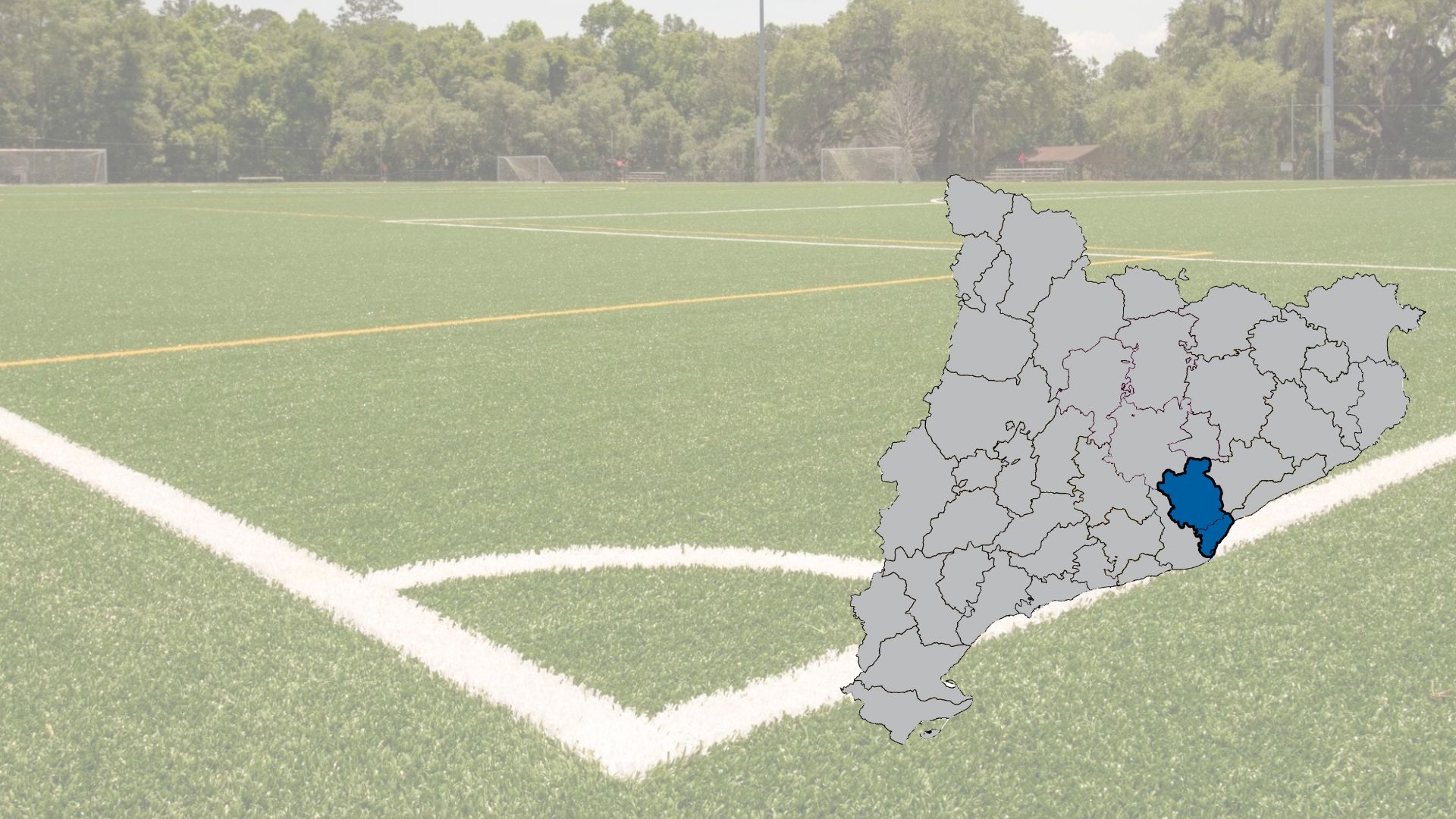 Lot 29. Manteniment de paviment de gespa artificial. Baix Llobregat i Vallès Occidental