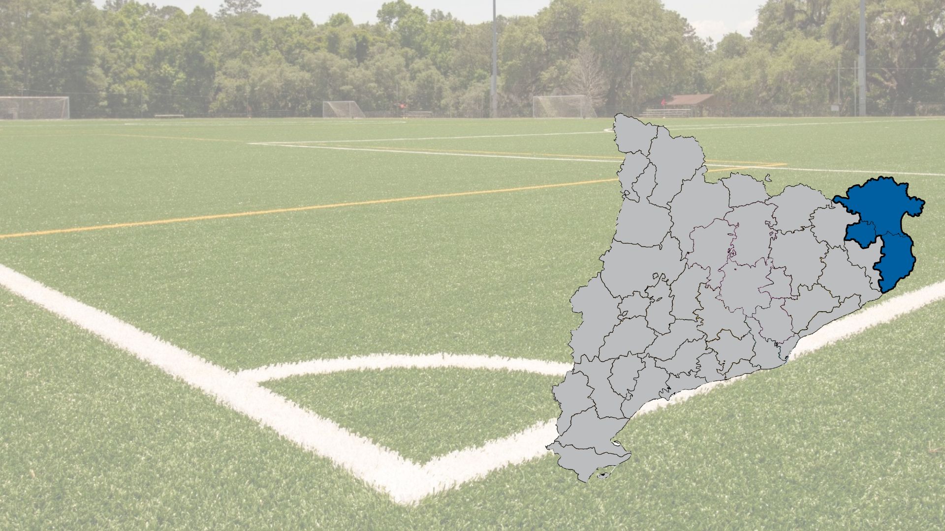 Lot 30. Manteniment de paviment de gespa artificial. Alt Empordà, Baix Empordà i Pla de l’Estany