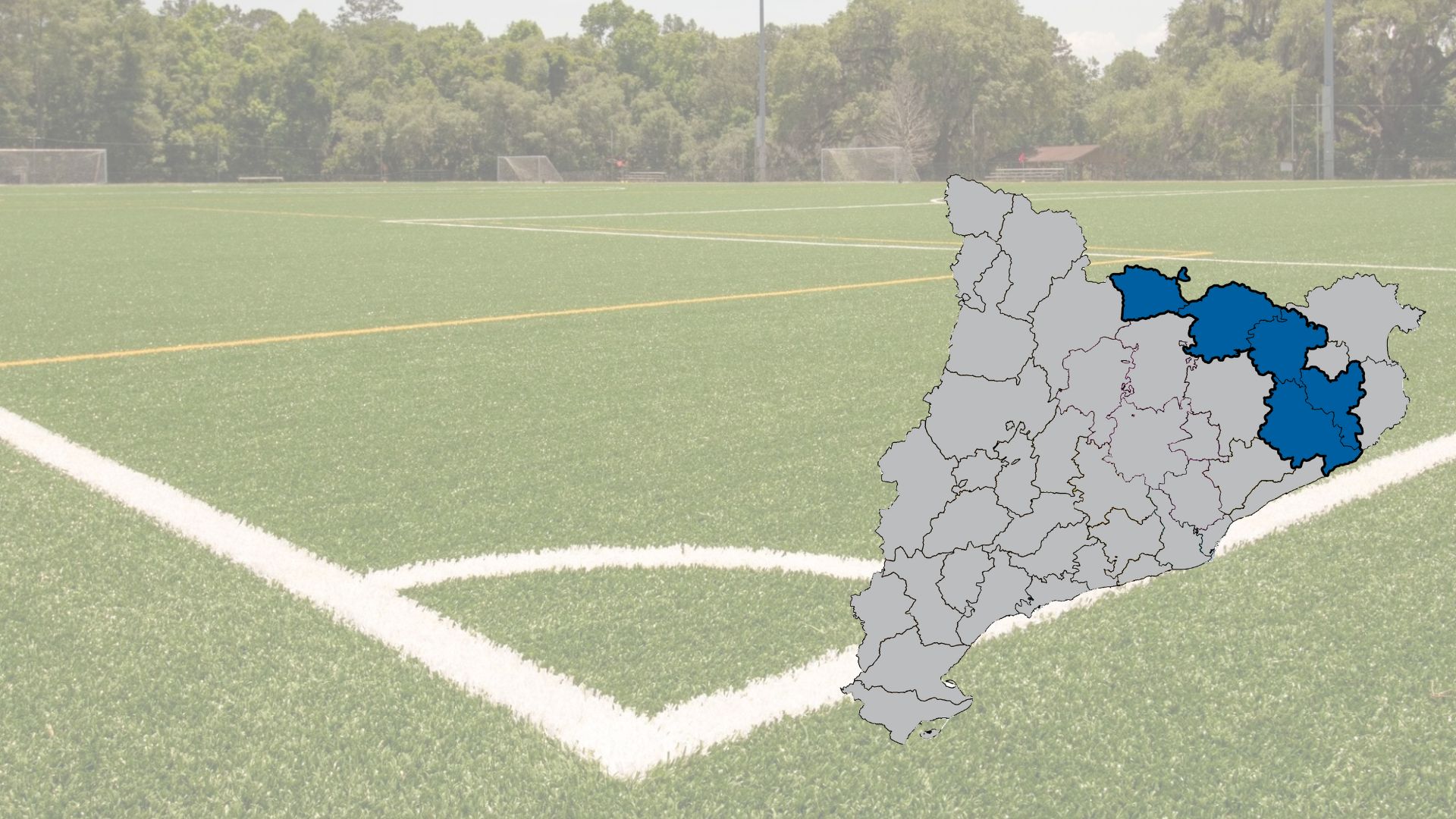 Lot 31. Manteniment de paviment de gespa artificial. Cerdanya, Garrotxa, Gironès, Ripollès i la Selva