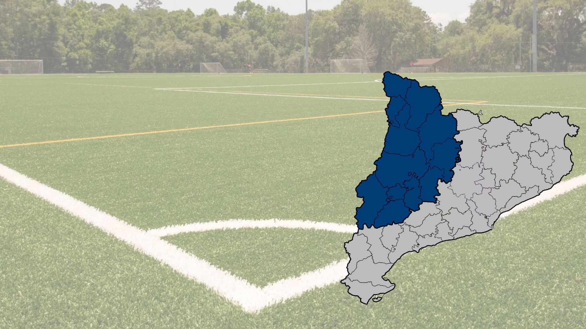 Lot 32. Manteniment de paviment de gespa artificial. Provincia de Lleida (excepte la Cerdanya)