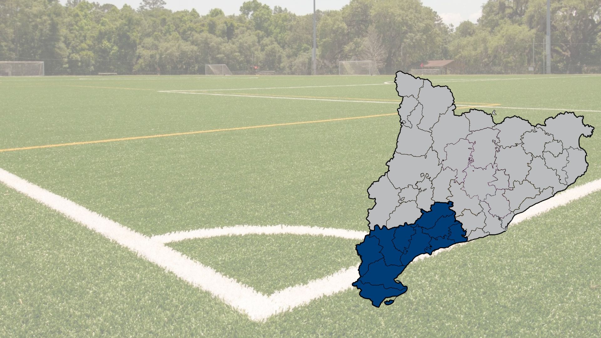 Lot 33. Manteniment de paviment de gespa artificial. Provincia de Tarragona