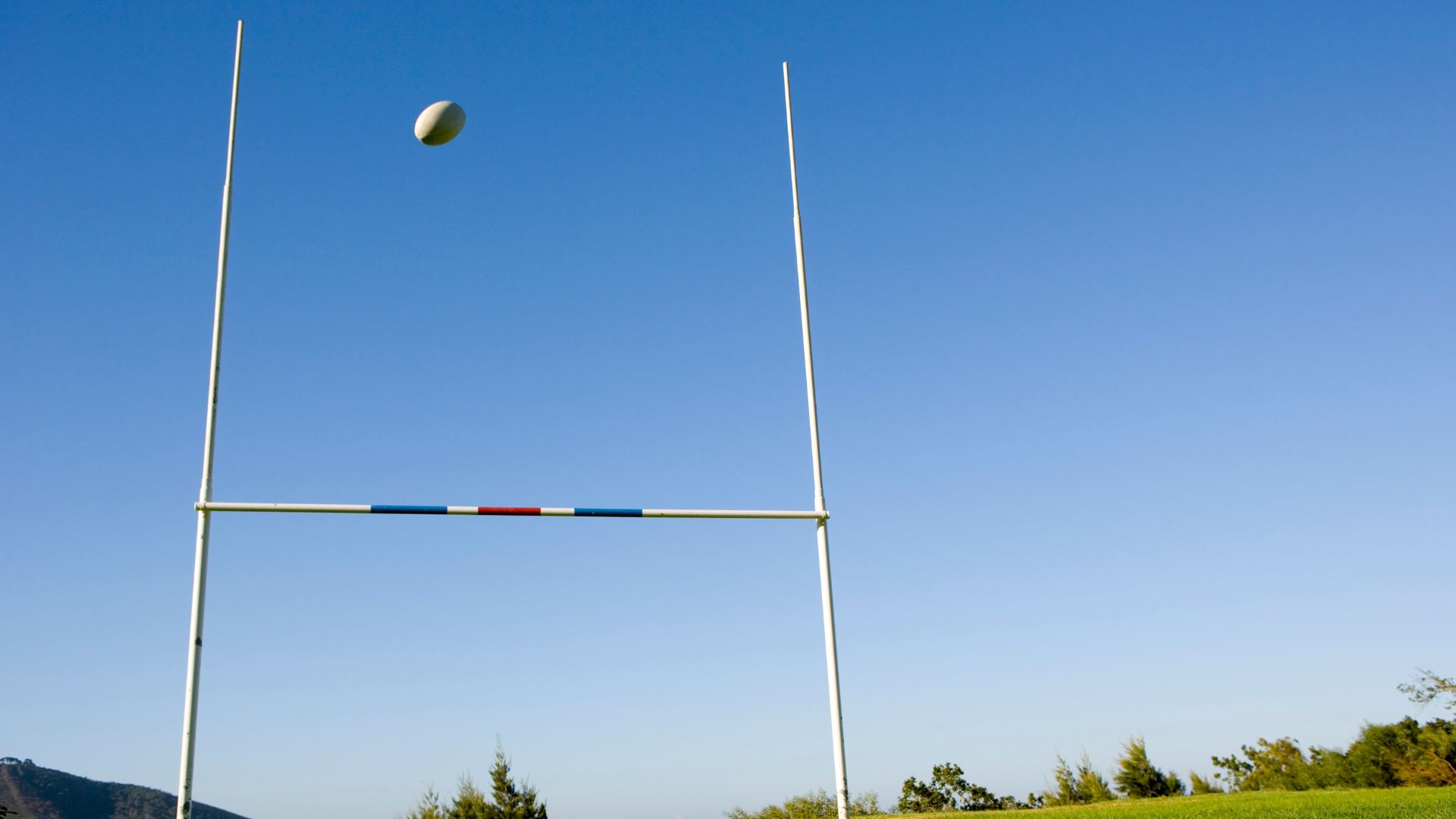 Lot 34 – Pals de rugbi