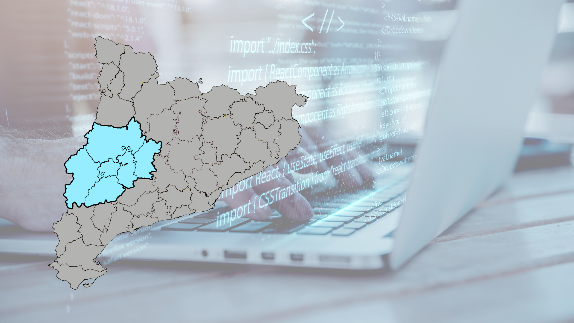 Lot 22. Serveis de manteniment preventiu remot – Ponent