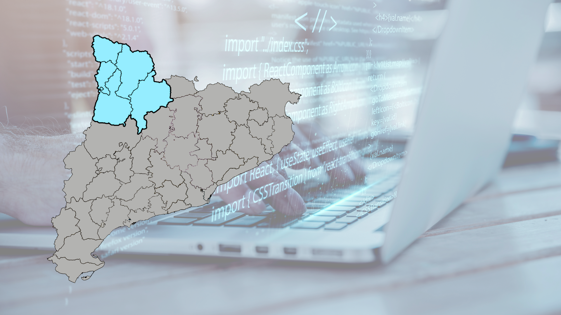 Lot 23. Serveis de manteniment preventiu remot – Alt Pirineu i Aran