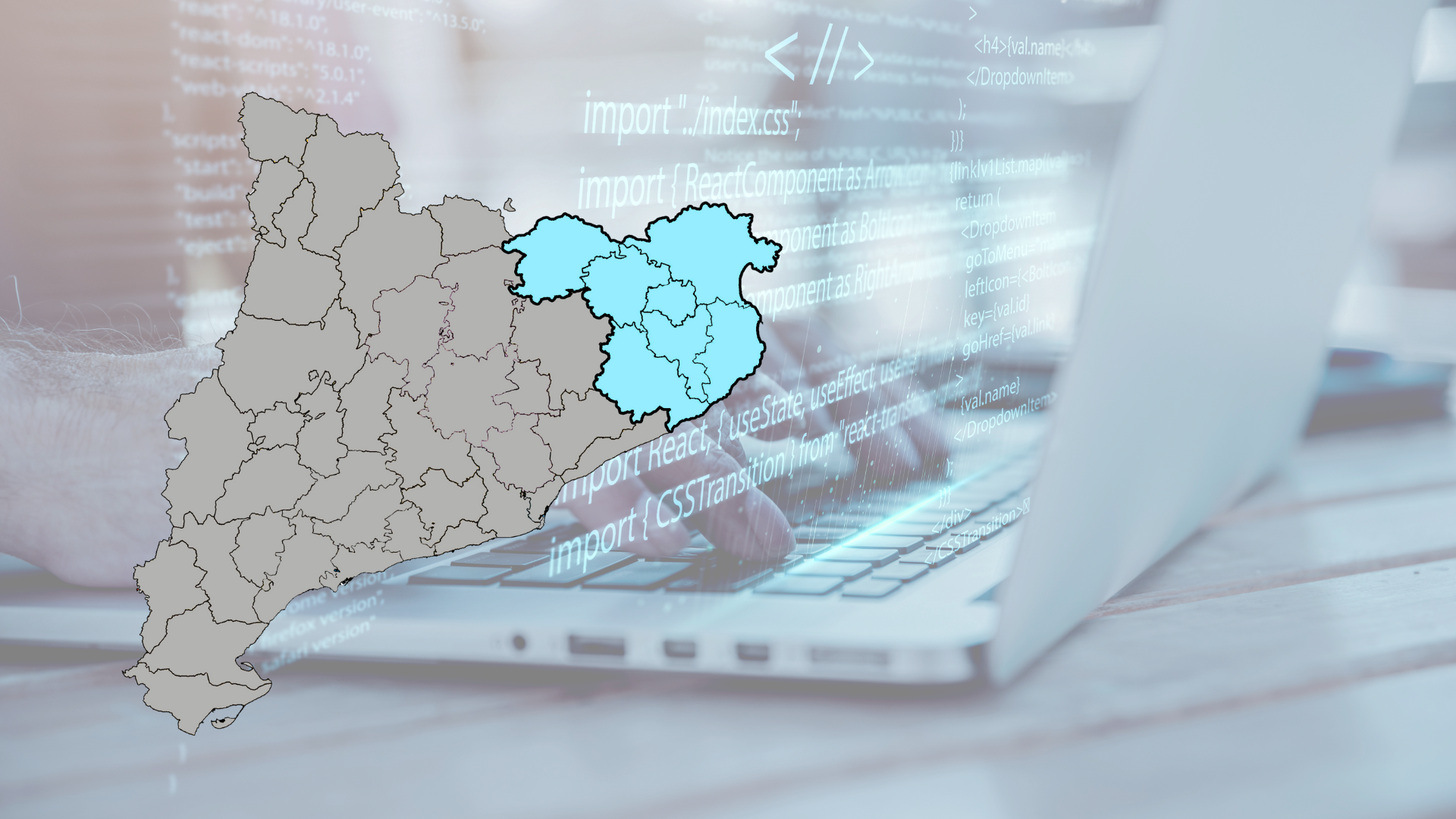 Lot 25. Serveis de manteniment preventiu remot – Comarques Gironines