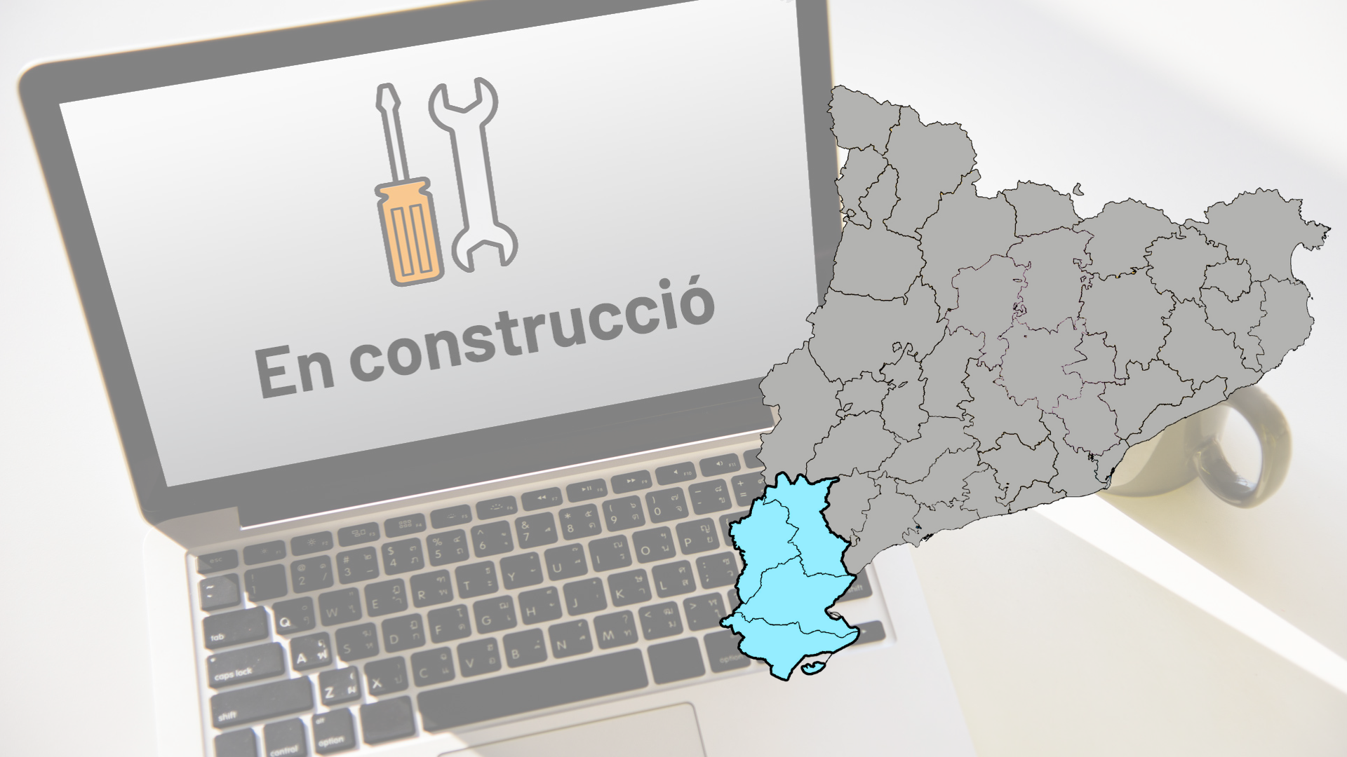 Lot 29. Serveis de creació i manteniment de pàgines web – Terres de l’Ebre