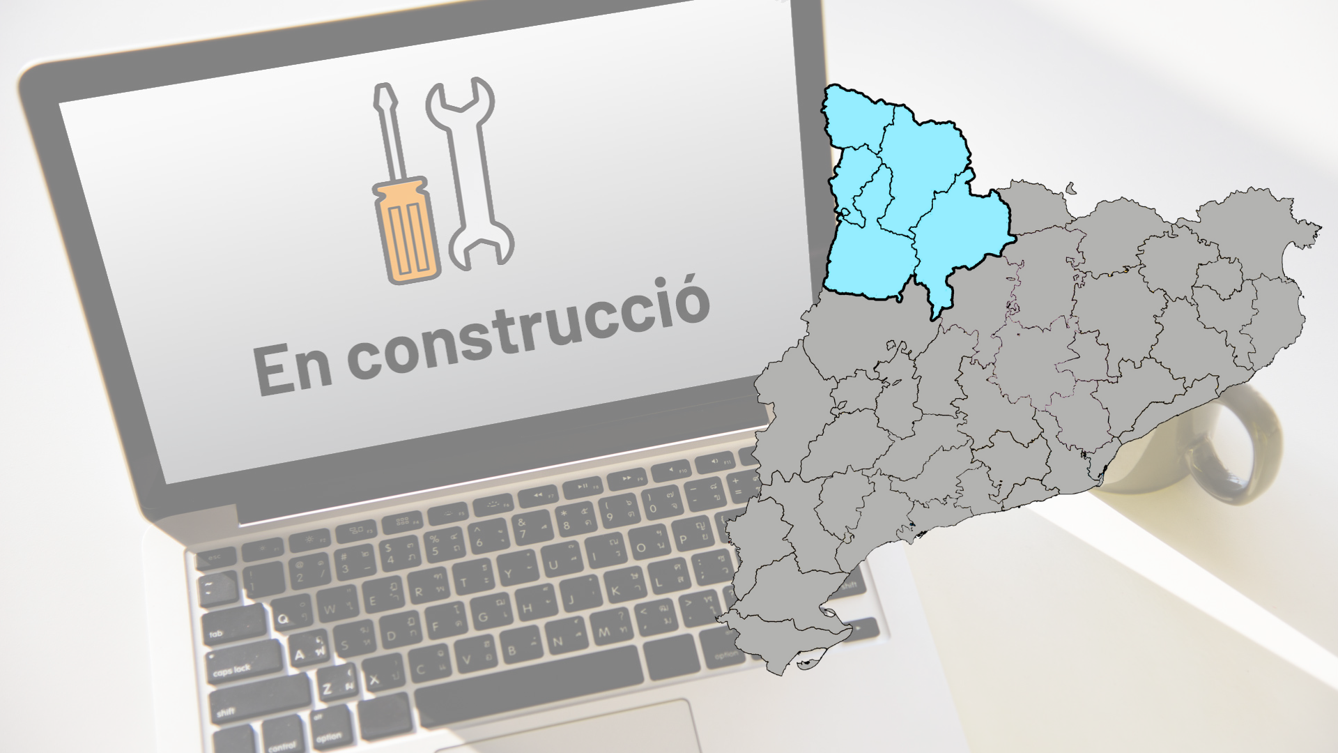 Lot 31. Serveis de creació i manteniment de pàgines web – Alt Pirineu i Aran