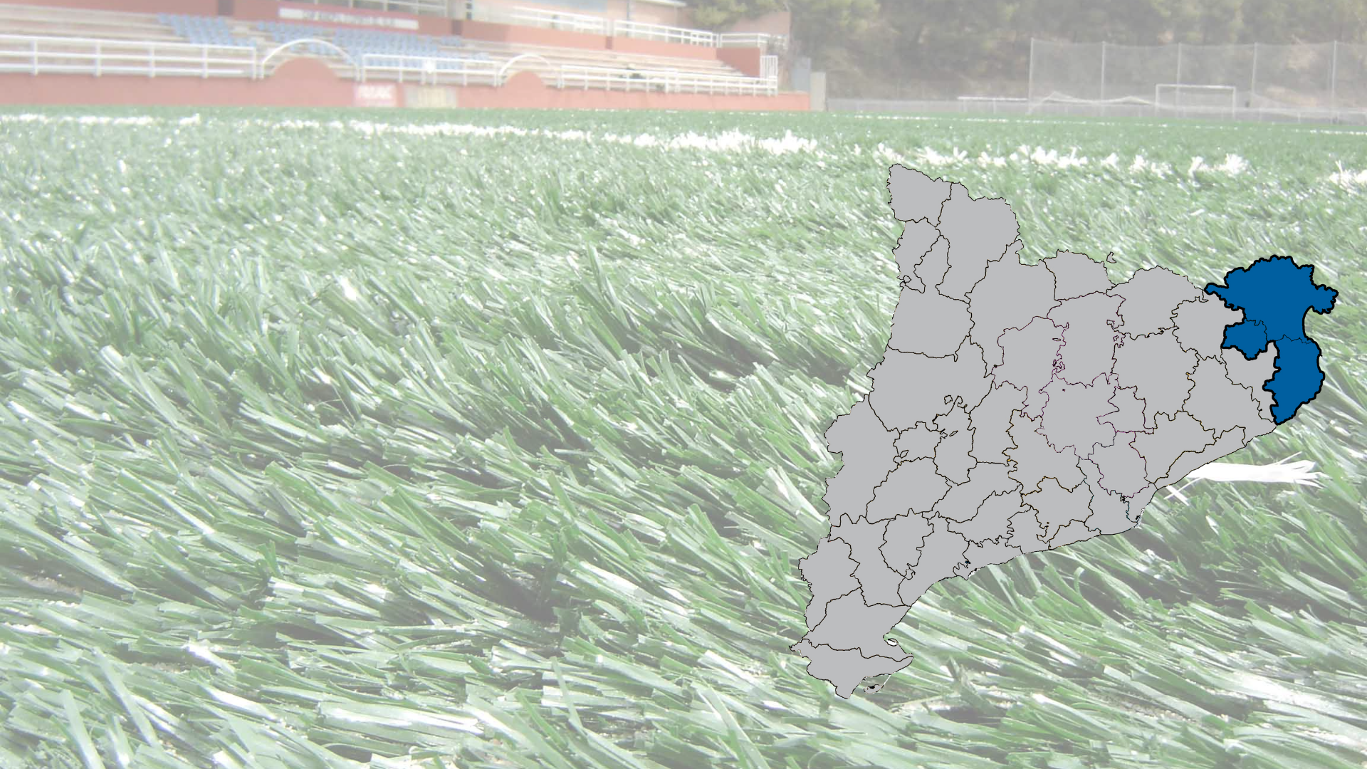 Lot 13. Subministrament i instal·lació de paviment de gespa artificial (natural) -Alt Empordà, Baix Empordà i Pla de l’Estany.