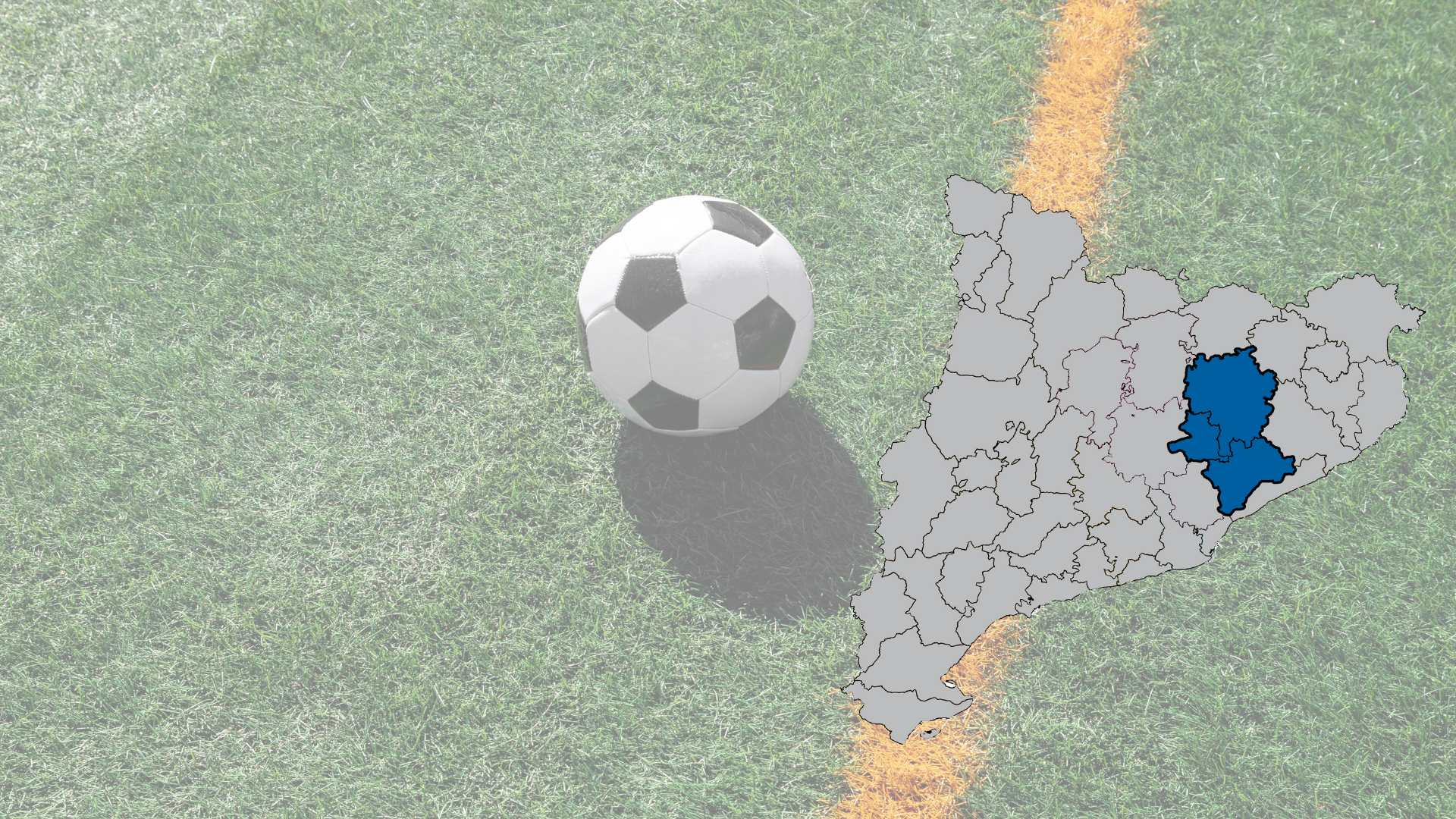 Lot 2. Subministrament i instal·lació de paviment de gespa artificial (cautxú) – Moianès, Osona i Vallès Oriental