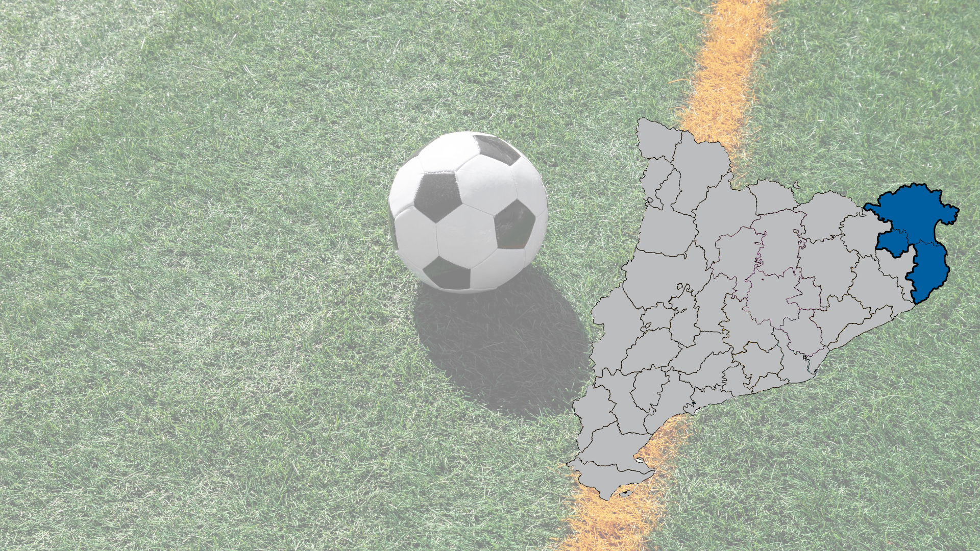 Lot 5. Subministrament i instal·lació de paviment de gespa artificial (cautxú) – Alt Empordà, Baix Empordà i Pla de l’Estany