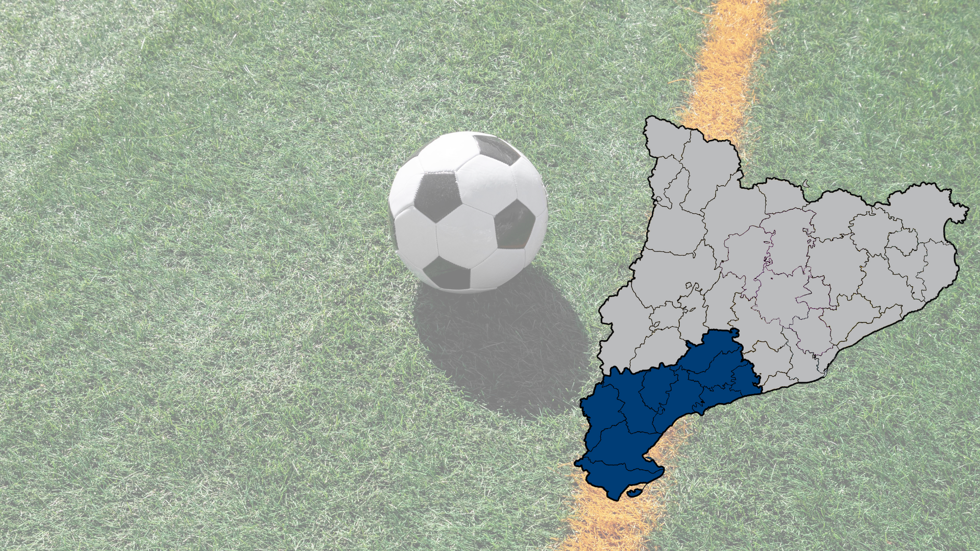 Lot 8. Subministrament i instal·lació de paviment de gespa artificial (cautxú) – Provincia de Tarragona.