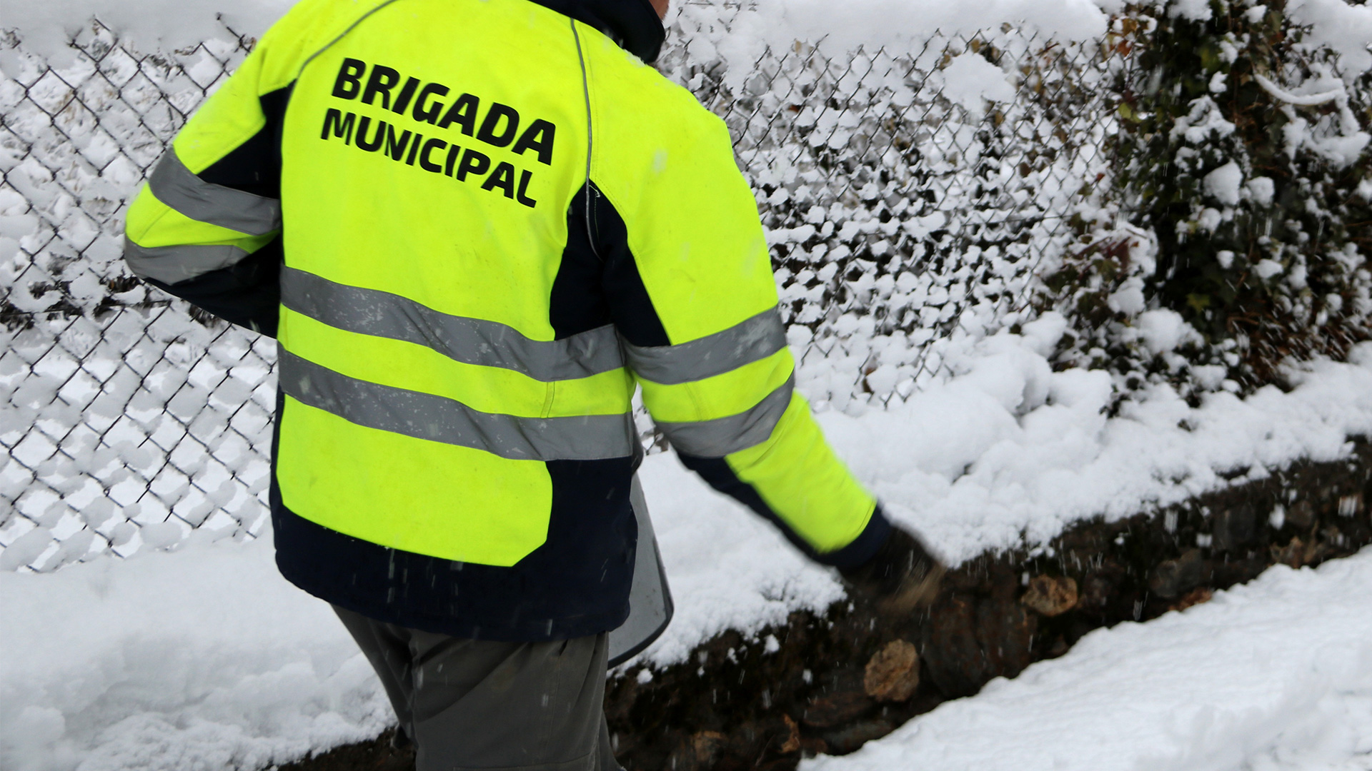 Lot 4. Subministrament de vestuari per a la brigada municipal i altres serveis