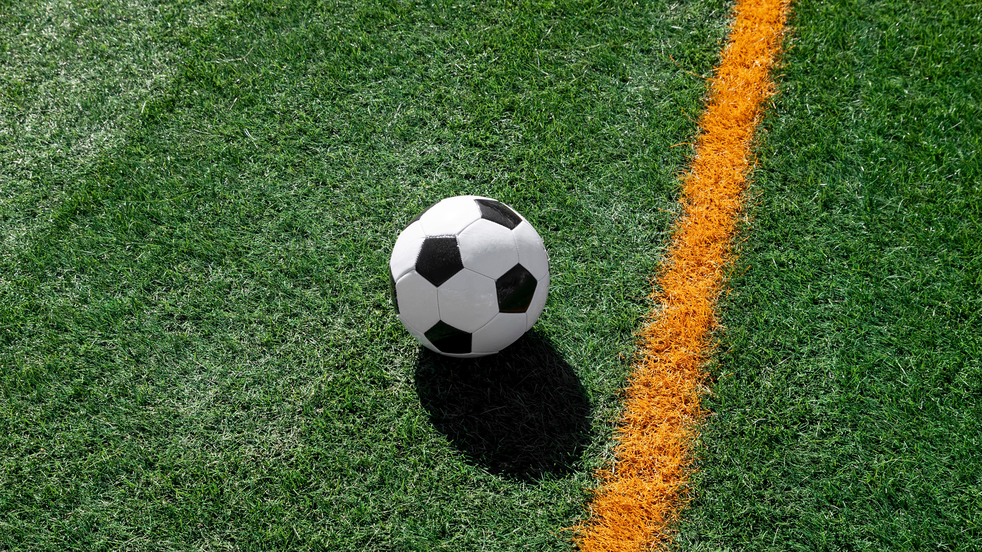 Lots 1 a 8. Subministrament i instal·lació de paviment de gespa artificial (cautxú)